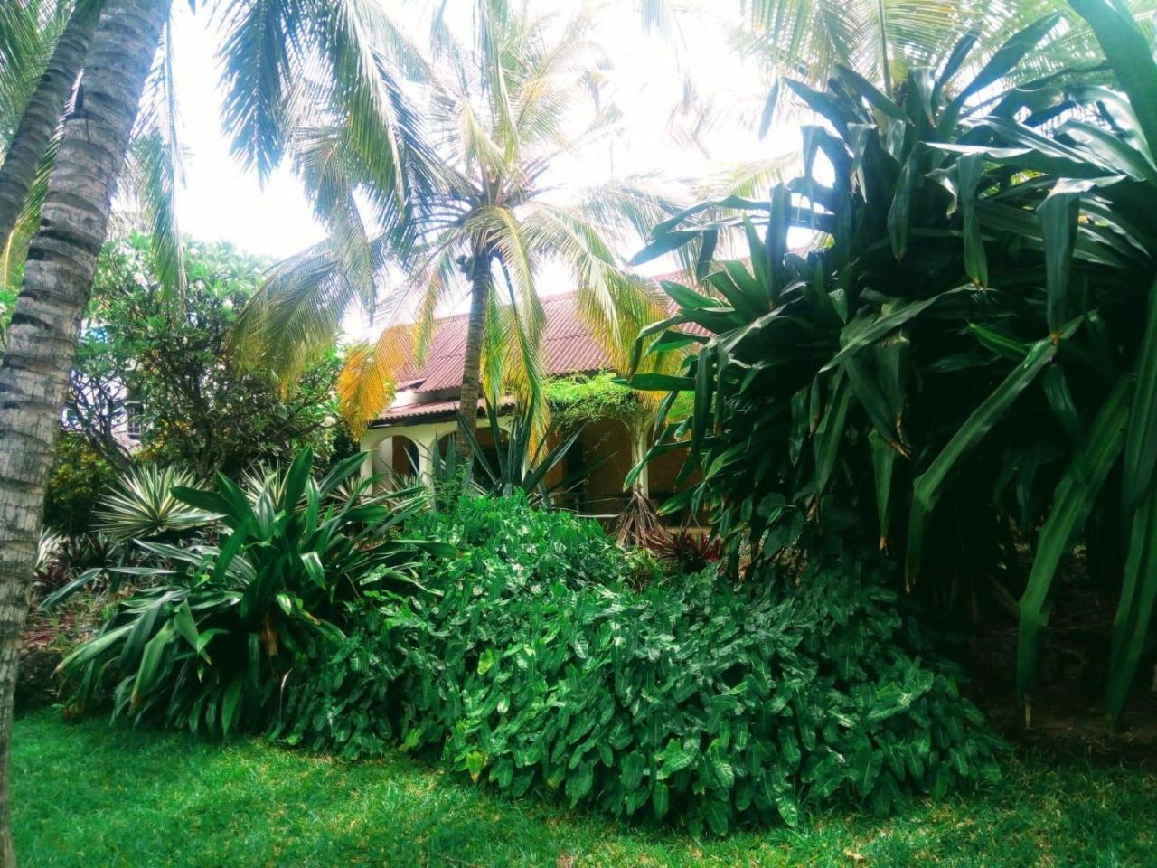 Bed and Breakfast Pashmina House Watamu Exterior foto